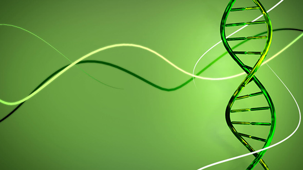 ib生物輔導：帶你來解析水在生物學中的應用！